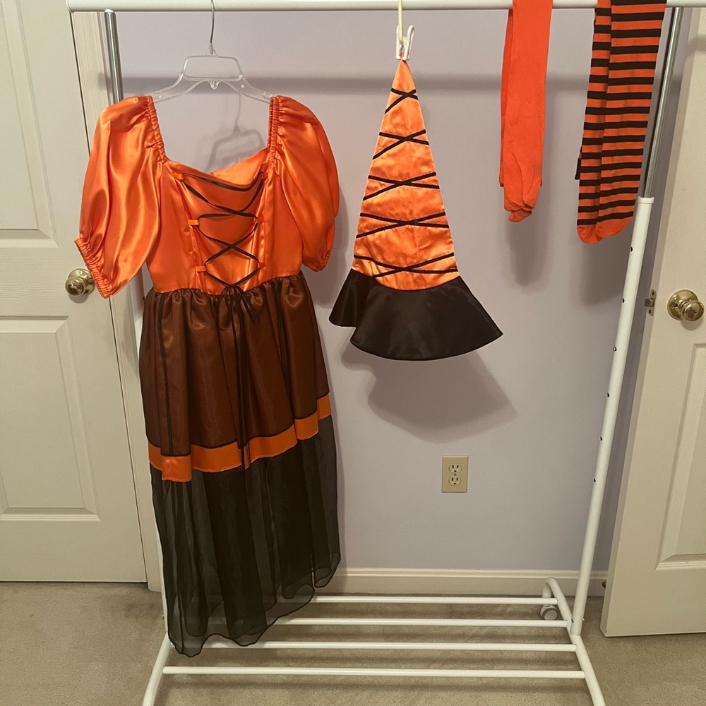Homemade Witch Costume